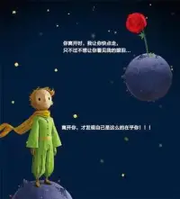 你在玫瑰上花的時間和心血讓玫瑰變的如此重要——也許世界上有千萬朵和她一樣的花，但只有她是我獨(dú)一無二的玫瑰。我每天給她松土，澆水，用玻璃罩給她遮風(fēng)擋雨，她有時會無理取鬧，我?guī)е悦ｋx開了她，走的時候她說：“希望你能幸福”。配圖