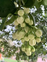 不辜負每一個今天，快樂而美好！便是是給自己最好的禮物！配圖