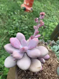 抱怨，其實是在廣而告之自己的無能。無論抱怨什么，歸根結底都是在證明自己如何不行，既有損自己的形象，影響別人的心情，又解決不了問題。配圖
