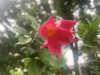 一個(gè)人會(huì)突然想通一件事， 如醍醐灌頂， 如振聾發(fā)聵，從此境界大不相同。 這或許跟時(shí)間有關(guān)系，或許跟閱歷有關(guān)系，但不到那個(gè)節(jié)點(diǎn)，無(wú)論別人如何苦口婆心，都無(wú)法消除困頓。需要的或許不是建議，他需要的是時(shí)間。配圖