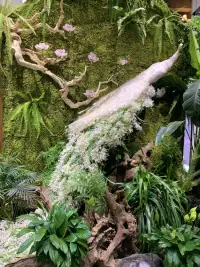 人總是在遭遇一次重創之后，才會幡然醒悟，重新認識自己的堅強和隱忍，所以，無論你正在遭遇什么磨難，都不要一味抱怨上蒼不公平，甚至從此一蹶不振，沒有過不去的坎，只有過不去的人。配圖
