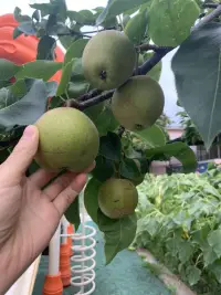 怎么去發現自己的負面陰影呢？很簡單，你最討厭的那一類人所擁有的特質，就是你的陰影。配圖