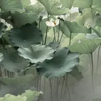 養成看一切事物的反面，萬事萬物都有兩面性，懂得雙向思考，能減少很多內耗，能減少生活上的煩惱。配圖