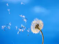 人生充滿困惑，我們時常猶豫，有時也會懦弱，與其不退不進，不如不破不立，把自尊磨平，把南墻撞倒，先摧毀內(nèi)耗的一切，再建立新的內(nèi)心秩序，你本該去摘星辰，便不應(yīng)只見塵埃。配圖