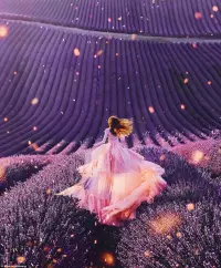 人生充滿困惑，我們時常猶豫，有時也會懦弱，與其不退不進，不如不破不立，把自尊磨平，把南墻撞倒，先摧毀內(nèi)耗的一切，再建立新的內(nèi)心秩序，你本該去摘星辰，便不應(yīng)只見塵埃。配圖