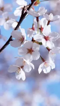 或許沒有人知道，你到底經歷了什么才走到了這里，你也不知道還要經歷什么才能去到更好的地方。但不管往哪走，都是向前走，迎風御劍而行，逆風更適合飛翔。你披星戴月，就該所向披靡。配圖