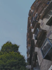 再錯綜復雜和毫無頭緒的事，只要你在做，事情總是在進展的。配圖