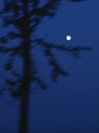 ta不是你第一個喜歡的人，也不是最后一個。配圖