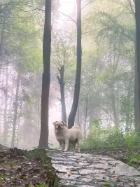 你快頂不住的時候，磨難也快頂不住了。配圖