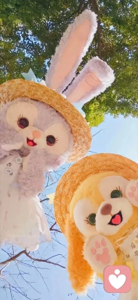 ?人生越過越好的人，
就是把精力放在對的地方的人。

什么是對的地方：學習，深造，
升職，賺錢，心理療愈，自我成長；

什么是不對的地方：吵架，糾纏，
抱怨，內耗，尋覓，等待，挽回。配圖