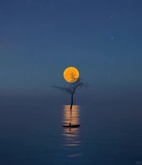 很多看似被命運推動所做出的舉動，
本質上，都是我們潛意識做出的選擇。

心理學家榮格說——
“當潛意識被呈現，命運就被改寫了”。

當探索、覺知到潛意識的部分，
看到問題根源，我們就能走出當下困局。配圖