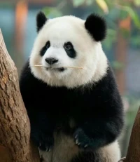 在物質充裕的時代，
我們擁有更多選擇權，也更容易迷失。

然而，真正的幸福，
從來不是任由自己在快樂中沉淪，
而是主動掌控時間，去做有意義的事。配圖