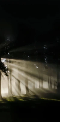 心之所向，便可觸及陽光；
無所畏懼，方能抵達遠方。

人生最幸福的事，不是活的像別人；
而是在努力之后，活的更像你自己！配圖