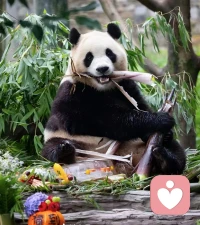 探求精神升華之路，常被誤認為參禪打坐、誦經念佛、行善積德等外在儀式。
然而，這不過修行冰山一角，其真義在于心靈淬煉，通過內觀自省、去惡揚善，開啟至善之門，追求精神圓滿與究竟。配圖