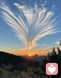 人啊，不管什么年齡，都要記住：
言慢者貴，性柔者富，德厚者旺。
允許自己做自己，允許別人做別人。身在當下，便活在當下；上船不思岸上人，下船不提船上事。勿在別人心中修行自己，勿在自己心中強求別人。配圖