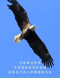 沒見過世面的人，
習慣用僅有的經驗去揣測這個世界。

而見過世面的人，
會懂得用謙卑虔誠的態度對待世界。配圖