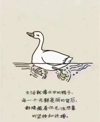 “鸭子定律”：
安逸需要底气，悠闲需要实力。
你所看到的，别人那些漫不经心的轻松与自在，其实都是“假象”，真相只有一个：
水面之下，努力、坚持一刻都不曾停歇！配图