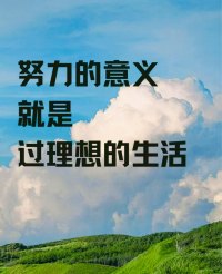 努力，最大的意义：
在于谋求更多的选择权，
储蓄更多的安全感，
让内心不失控，生活不失序。