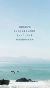你要自己发光，而不是折射别人的光
夜色难免黑凉，前方必有曙光
你必须努力，才能看起来毫不费力
​最好的时光是，无论你到哪个年龄段
依然对自己有要求，依然觉得在发光