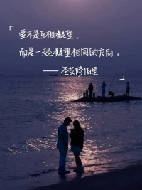愛，不是互相凝望，
而是一起，凝望相同的方向。

——圣艾修伯里配圖