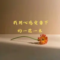 沒有任何事可以發生在過去，
所有的事情，都發生在當下，
也沒有任何事情發生在未來，
所有的事情都只發生在當下。
——《當下的力量》配圖