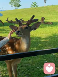 孤獨，并不是因為身邊無人，
而是無法與他人交流重要感受。
                                  ——榮格配圖