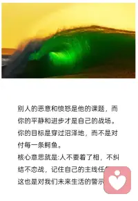 别人的恶意和愤怒是他的课题，而你的平静和进步才是自己的战场。你的目标，是穿过沼泽地，而不是对付每条鳄鱼。
核心本质是：人不要着了相，不纠结更不恋战，记住自己的主线任务，这也是对我们未来生活的警示。配图