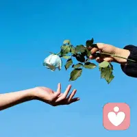 凡负能量之东西，都不要有任何回应，
回应则是与之纠缠，纠缠则受其损耗；
只要内心不接应，恶念都将原路返回，
一句都不要回应，聚集正念避免内耗！配图