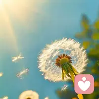 无论怎样，始终都要坚信：

没有一个冬天，不可逾越；
总有一个春天，接着到来……