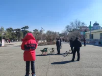 一個風箏愛好者的朋友和我講，退休了放放風箏吧，這項活動很療愈人也很滋養人，當時我就想，竟瞎扯淡，一根破線拴著一個破風箏被一股破風吹上天，抬起自己的破頭看著這個破風箏，就能滋養人了？今天天很好，看見了風箏，突然發現，朋友說的也有道理啊，放風箏的人，仰望風箏時，也仰望著天空，天空的湛藍，天空的沉靜，天空的廣闊，天空的潔凈，那一刻，可能與風箏人的內心銜接起來了，看到這想到這，我的內心好像也豐盈起來了，趕緊，邁開自己的小短腿跑幾步，去和那個朋友道歉，哈哈！！！配圖