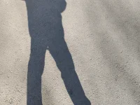 一個風箏愛好者的朋友和我講，退休了放放風箏吧，這項活動很療愈人也很滋養人，當時我就想，竟瞎扯淡，一根破線拴著一個破風箏被一股破風吹上天，抬起自己的破頭看著這個破風箏，就能滋養人了？今天天很好，看見了風箏，突然發現，朋友說的也有道理啊，放風箏的人，仰望風箏時，也仰望著天空，天空的湛藍，天空的沉靜，天空的廣闊，天空的潔凈，那一刻，可能與風箏人的內心銜接起來了，看到這想到這，我的內心好像也豐盈起來了，趕緊，邁開自己的小短腿跑幾步，去和那個朋友道歉，哈哈！！！配圖