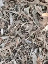 今天去公園健身，看到路陽面太陽照到的地方，有膽子大的小草變綠了，而路陰面太陽照不到的地方，就看不見綠色。
有此，我聯想到，我們的內心感知事物也是有兩面性的，有的人遇事就知道往壞處想，腦海里都是消極的東西，結果，看不見希望，沒有了力量，更沒有了方向；而有的人，善于轉過身來看陽面，遇事總能看到積極的一面，活力滿滿，也就能讓自己看見希望，讓自己充滿力量，結果不言而喻。
其實，這就是我們每個人日常的兩種思維模式。
看到此微博的朋友，弱弱問一句，你傾向于哪種思維模式呢？配圖