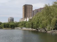 看到了一組垂柳，靜靜地來到在我的眼前，我被她們的美深深地吸引了，其實，冬天里我也經常遇見她們，卻好像沒有看見她們，更沒有被她們當時的外表吸引和打動。
為什么呢？一樣的她們，一樣的存在，一樣的地方，卻有不一樣的發現，不一樣的風景，不一樣的心境呢？
景色如此，人也依然，一樣是人，卻又是不一樣的人，千人千面千心千貌。
小心翼翼地問下，看到此，列位看官，有何感想？配圖