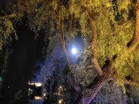 十五的月亮十六圆，为了拍这组月亮照片，我开车到了很远的地方，同一个月亮，基本同一时间，我选了不同的地点，不同的视角，拍出了不同的效果，如第一个照片，美如歌词一般，天上有个月亮，水中有个月亮，其它三组就没有这个效果，此情此景，心情也美丽起来。
有此，我联想到，平时我们遇到同一个问题，如果我们能用不同的视角去看待这个问题，如果我们能用积极的态度替换成消极的态度去面对这个问题，或许，我们会得到不一样的结果。
此刻，我好像悟出点什么，你呢？