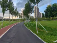 咨詢師這個職業，看是動動嘴皮子很簡單的工作，其實不然，有時也是個體力活，比方說我吧，曾經一夜無眠，接了一夜電話，也曾經連續九個小時不間斷接一個來訪電話，還有一個線下咨詢來訪，非要和我比試一下一口氣能不能做五十個標準俯臥撐，一個喜歡體育的十七歲的男孩子，嬉皮笑臉可愛的給我來個激將法，說，老師，你如果做不下來，有辱軍人名聲，哈哈，幸虧我好像還行吧……今天下午，試試，跑個8公里，感覺良好，感謝來訪者的看見，感謝來訪者的陪伴，感謝來訪者的信任，感謝來訪者的有趣，感謝來訪者的挑戰，我發自內心的，感恩你們每一個人，晚安好夢……配圖