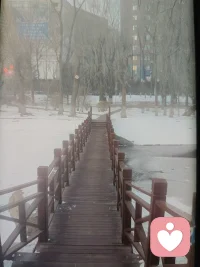 这两天觉得全身哪哪都不舒服，腰酸背痛腿抽筋，去医院做个体检吧，看看哪里出了问题，赶上元旦新年，医院体检中心都放假新年快乐去了。路过公园，唉，求人不如求己，就这这里给自己做个体检吧，来个十公里，在这新年里，尽量快点跑吧，不快咋能有乐啊？快乐快乐嘛，是不是这么来的？跑者跑着，真的，快乐就来了，不信，你也可以一试，放马过来，一路同行，一起快乐吧！配图