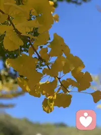 愛是用我的心 傾聽你的憂傷歡樂配圖