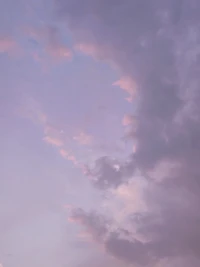 我們的意識(shí)是通過(guò)我們的身體傳播的，而潛意識(shí)就像我們的影子，但是我們要探索的是影子背后的東西，哪些是影子背后的東西呢？是靈魂，是知識(shí)，是美德的不朽。這些是永恒的，而人是有意識(shí)的追求美的，但是在得到美以后又想追求永恒，可是卻忘了，人是必朽的，所以人要繁育，因?yàn)槲覀兊哪康牟皇亲非竺溃亲非竺赖挠篮悖Ｍ總€(gè)人都能發(fā)現(xiàn)美，繁衍美，通過(guò)代代疊加，達(dá)到生命之美的永恒。配圖