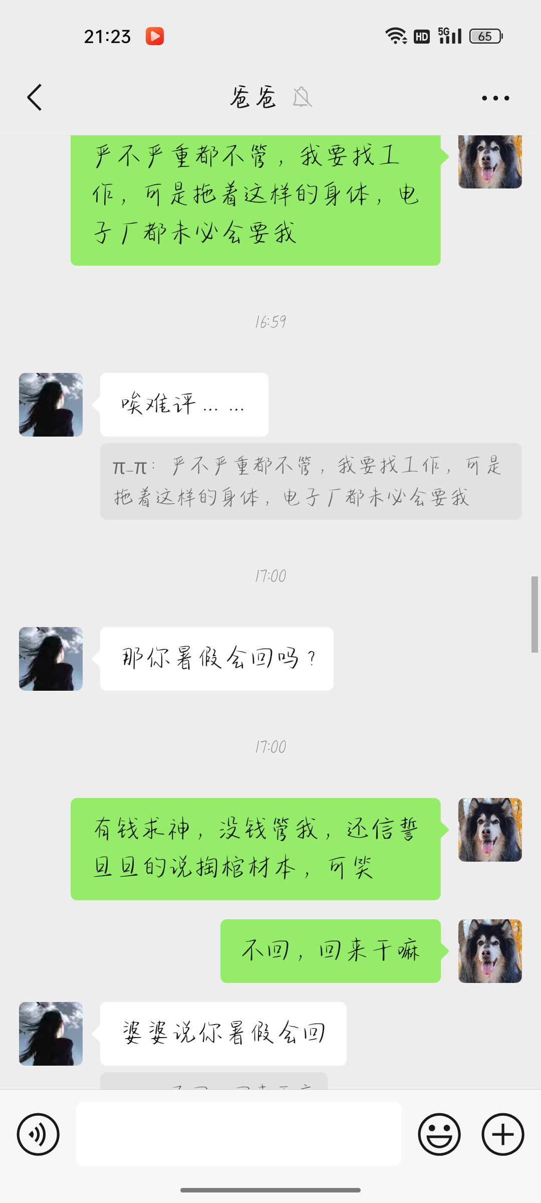 的回答图片