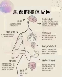 ??頭腦知道，可是身體做不到，身體究竟發生了什么？

王陽明哲學的一個核心內容就是知行合一，他之所以能做到這一點，關鍵原因是他內心中沒有矛盾，而我們普通人之所以做不到知行合一，是因為我們內心中有各種各樣的矛盾，因為這些矛盾我們在行動時互相較勁，所以行動力就打了很大的折扣，也就做不到知行合一了。

你可以試著找到這種潛在的矛盾，去探究這種心理形成的歷程，甚至追究到原生家庭的童年時期。也可以試著迫使自己處在低位或者是高位去感受那些從來沒有達到的感受，最終我們會發現，其實自己可以處在任何位置，那么我們就破掉自己心中的一種種障礙，而獲得充分的自由，那時就可以做到知行合一了。

?配圖