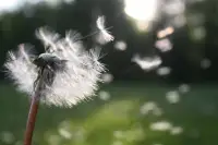不要把运气当能力