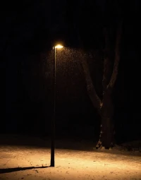 黑夜里的光，在黑暗的夜空中照亮了前行的路......配圖