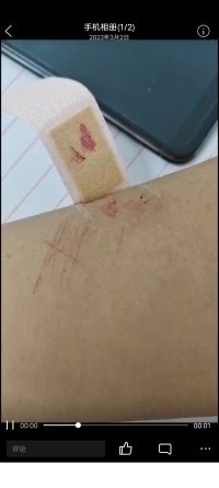 活著有什么好的，每天都挺累的配圖