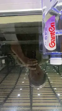 寶貝 注意鍛煉身體呀 氣溫不穩配圖