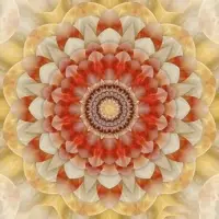 完美主義的特點：
1. 總怕自己做得不夠好而不被別人喜歡，所以才會處處要求完美。自我價值感來源于他人，所以這種完美的判定與認可不是自己而是他人。
2.對完美主義者而言，自我永遠陷于微不足道的小缺陷中，為此變得沮喪郁郁寡歡，骨子里不自信，無法接受并慶祝自己的成功。
3.不喜嘗試與創新，很難走出舒適區
天生的懷疑與不自信，讓完美主義者面對機會的時候很難抓取，無法應對新的學習曲線。
4.大部分精力用來掩蓋自己的缺點
完美主義者很怕被別人批評，怕自己的缺點被人看見，所以會努力地逃開這些評價，不斷地讓自己的看起來完美。
所以，如果當你發現自己越來越注重外在的評價和認可時，那么，你的完美主義已經深深地影響到你的生活了。
送給所有完美主義一句話：先完成再完美！配圖