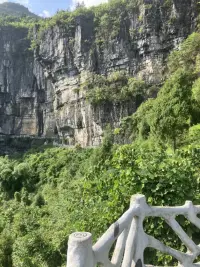 從時間的維度上，我們習慣把時間分成：
昨天、今天和明天，也就是過去、現在
和將來。但是，從我們的身體的存在來說，
是沒有過去和將來的，只有現在。我們只
能站在這里，存在于這一刻的時間里。過
去和將來只存在于我們的頭腦中，而不能
容納我們的身體。可恰恰在我們只能存在
的這一刻里，我們常常是身心分離的。身
體在這一刻，心里在過去或將來，或為過
去的事懊悔、憤怒，或為將來還沒有發
生的事擔憂焦慮。我們很少能夠身心合一、
清晰地覺知自己活著的這個當下，更難覺
知到當下的這一刻是生命唯一重要的。配圖