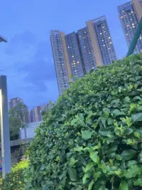 所有的人際關系都是一面鏡子，透過它們，你才能認識真正的自己。如果你覺得伴侶對你失去熱情，可能是因為你也對他失去熱情，就像一位婚姻專家說的：“如果我們的婚姻變得乏味，可能是因為我覺得乏味，或更糟的是我這個人很乏味。”事實上，那些令你厭惡的人是在幫助你真正了解你自己，讓你發覺你的陰暗面。這也就是為什么當我們跟一個人越親密，
就越容易產生厭惡，因為他讓你看到了自己的真面目。別人最讓你討厭的地方，通常也是你最受不了自己的地方。你為什么會對一個人、一句話莫名其妙的發脾氣，不舒服，緊張、焦慮？往往是因為你自己身上也具有類似的特性。外在的人事物只是你內在世界的投射而已。比如，童年沒能在父母面前撒嬌的媽媽，
看到向自己撒嬌的孩子，就莫名其妙地生氣，制止孩子的撒嬌行為；童年沒能和父母好好溝通的孩子，成年后和父母的溝通方式也還是用“吼”的方式，同時也不能適應別人和他心平氣和的溝通方式！覺察到潛意識中那個與你期望的不一致的自己，以一個觀察者的視角觀察
自己的情緒、想法、行為，以及與他人的互動，這就是內觀成長的開始！配圖