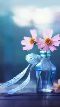 心理學家戈斯坦認為：無數(shù)對變化的困惑
和不安，組成了焦慮。正確對待焦慮，就
要真正接納：人生唯一且永恒不變的，就
是變化本身；變化就是生命中不可抗拒的
無常！人生其實是一個過關斬將，升級打
怪的過程，每次變化來臨的時候，不管是
好是壞，坦然接受，心里知道這是人生道
路上的又一“關”來臨，“打怪升級”的機會
來臨。如果你每次都可以坦然接受這新的
一“關”和新的“升級”機會且擁有積極向上
的心態(tài)、不放棄努力、不放棄拼搏的時候，
你就成為了你生命的王者，所有的焦慮困
惑不安都會轉(zhuǎn)向“關關難過關關過，事事
難成事事成！”配圖