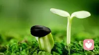 發生在別人身上不好的事是故事，發生在自己身上不好的事是事故！大多數的感同身受，都是自己或者親眼目睹自己身邊人的經歷過，才會對她人的經歷感同身受！所以生活就是一個修行的道場，無論遇到如何的艱難險阻、都找到當中好的一面，甚至幾個面，然后提高自己的慈悲包容理解心，不斷的通過看見困難、接納困難、轉化困難進而超越困難，從而提高自己的格局（修行）！正如一句話所說，委屈是格局撐大的，委屈的時候，不要聚焦在委屈上，更多的關注通過這份委屈背后可以讓自己成長的地方。比如你遇到一個老是刁難你的上司，你會感到委屈，但是當你聚焦在怎樣做到更好，怎樣更強大自己不要被他找借口刁難的時候，也是你成長的時候！配圖