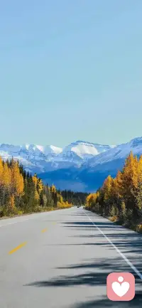 所有的問題都是內心的障礙，所有的答案都在內心感受。感性多一點，理性就會少一點，理性多一點，感性就會少一點，覺察覺知自己是理性大于感性，還是感性大于理性。配圖